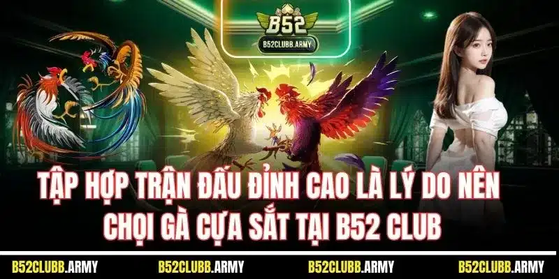 Đá Gà Cựa Sắt B52 Club - Sân Chơi Chọi Kê Đỉnh Số 1 Việt Nam 2025 5 Tập hợp trận đấu đỉnh cao là lý do nên chọi gà cựa sắt tại B52 Club