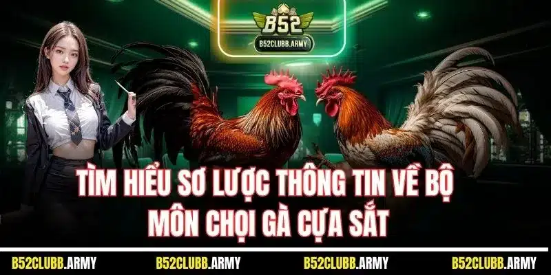Đá Gà Cựa Sắt B52 Club - Sân Chơi Chọi Kê Đỉnh Số 1 Việt Nam 2025 2 Tìm hiểu sơ lược thông tin về bộ môn chọi gà cựa sắt